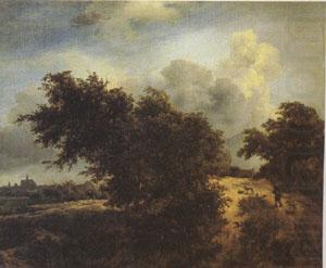 Jacob van Ruisdael The Bush (mk05) china oil painting image